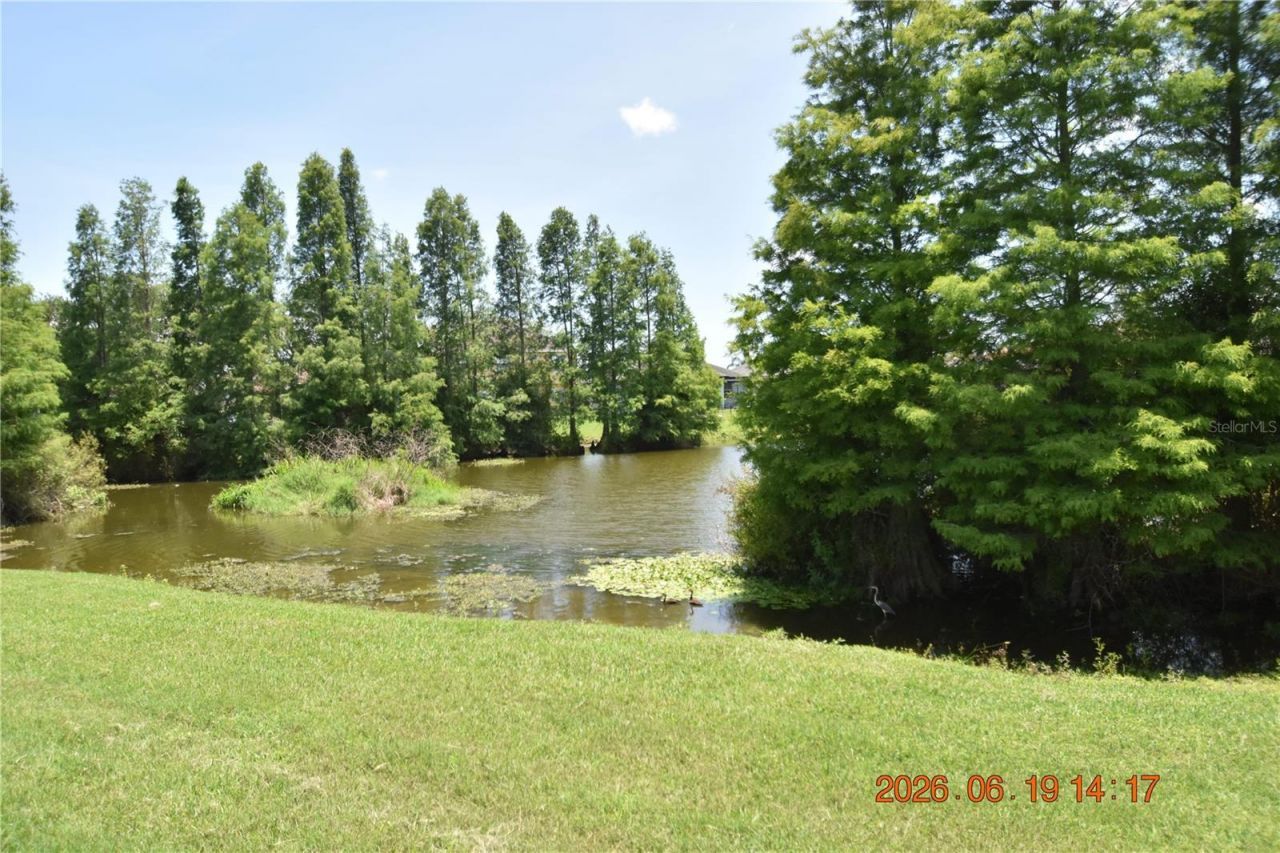 1625 Open Field Loop, Brandon, FL 33510 Photo