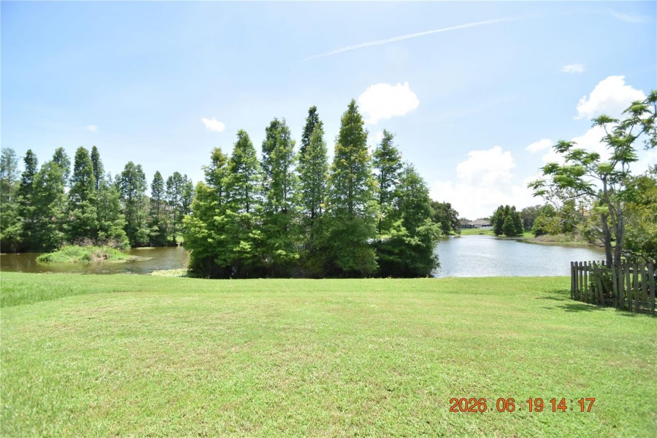 1625 Open Field Loop, Brandon, FL 33510 Photo