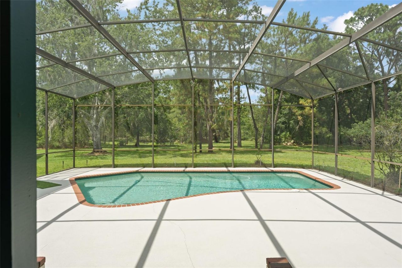 1238 Whirlaway Lane, Oviedo, FL 32766 Photo