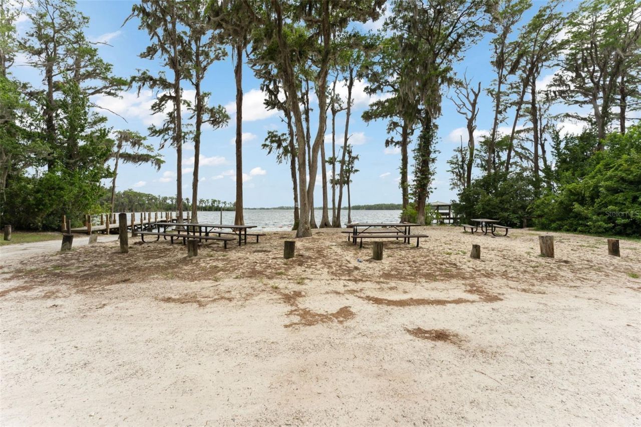 1238 Whirlaway Lane, Oviedo, FL 32766 Photo