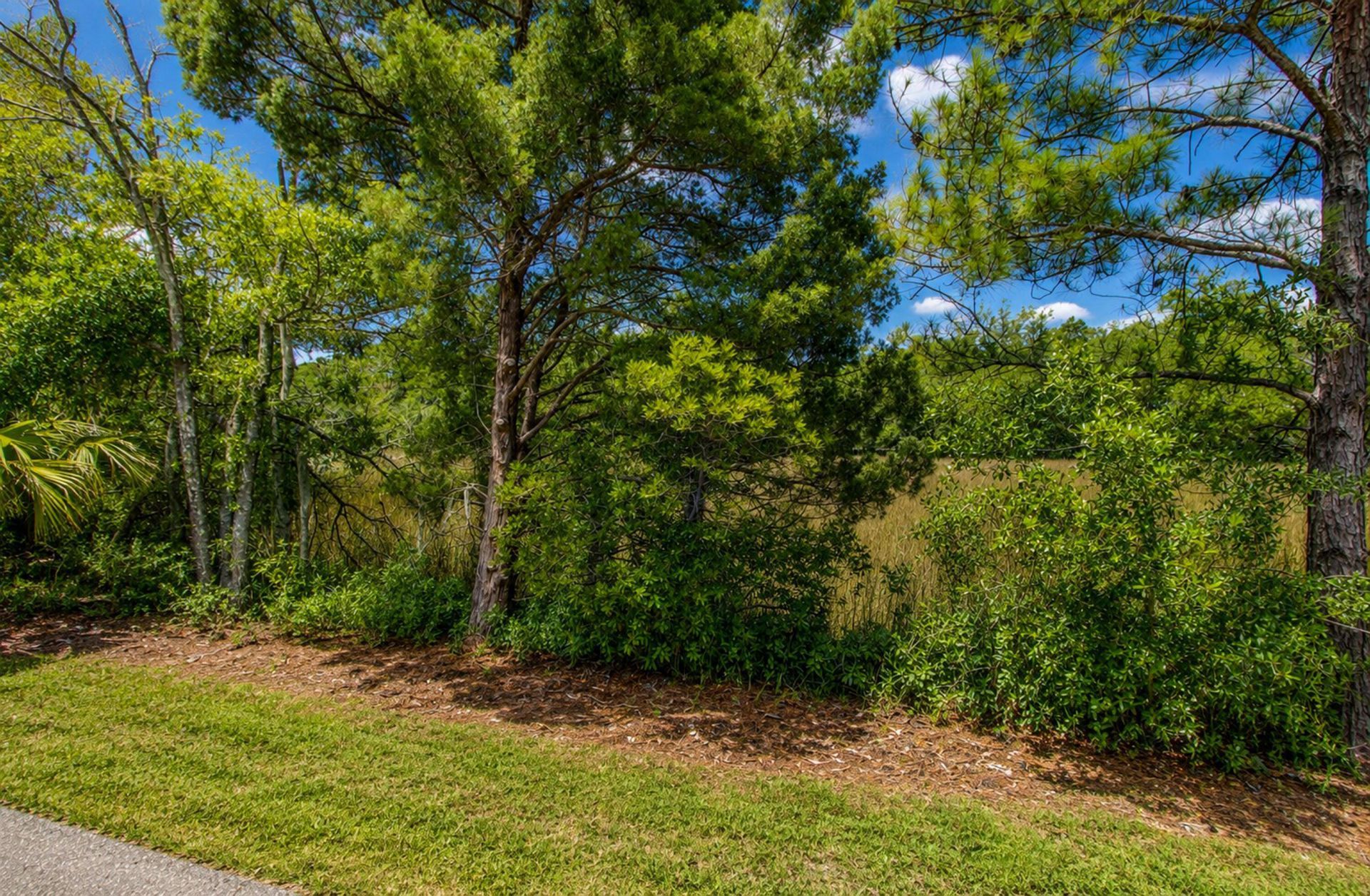 1084 Rosemead Road Photo 20