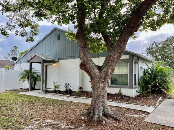 7706 CITRUS FIELD COURT , TAMPA, FL 33625