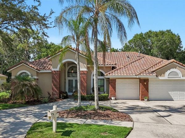 17722 GREY EAGLE ROAD, TAMPA, FL 33647