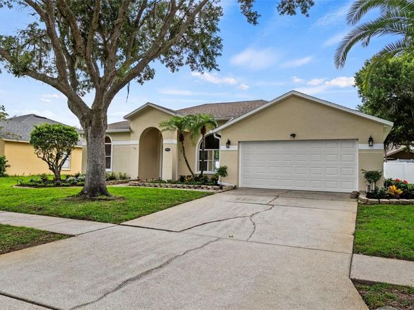19811 WYNDHAM LAKES DRIVE , ODESSA, FL 33556