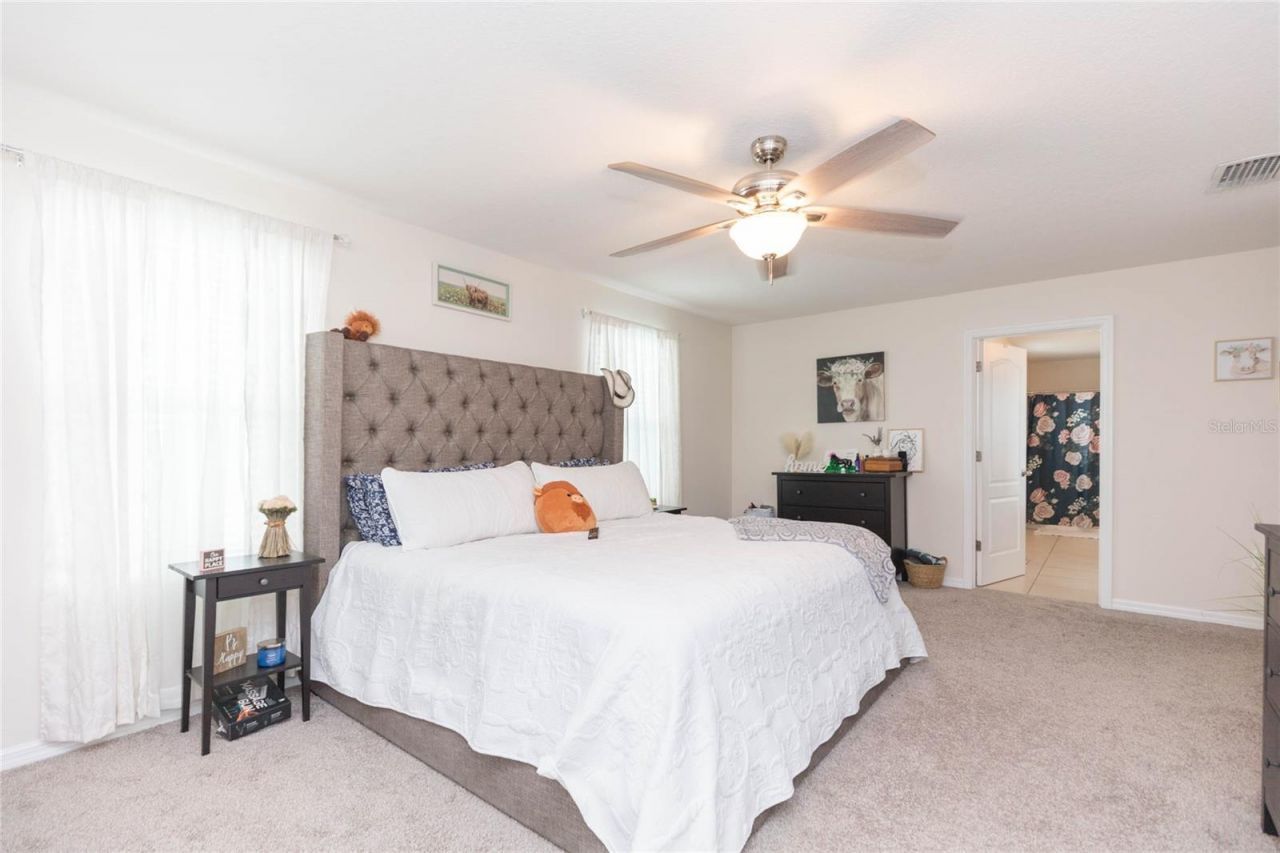 3514 San Moise Place, Plant City, FL 33567 Photo