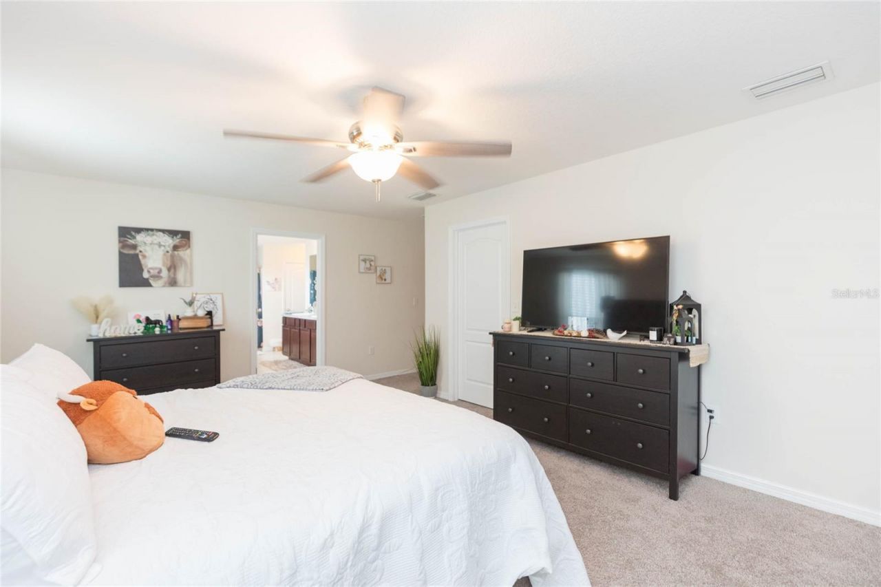 3514 San Moise Place, Plant City, FL 33567 Photo