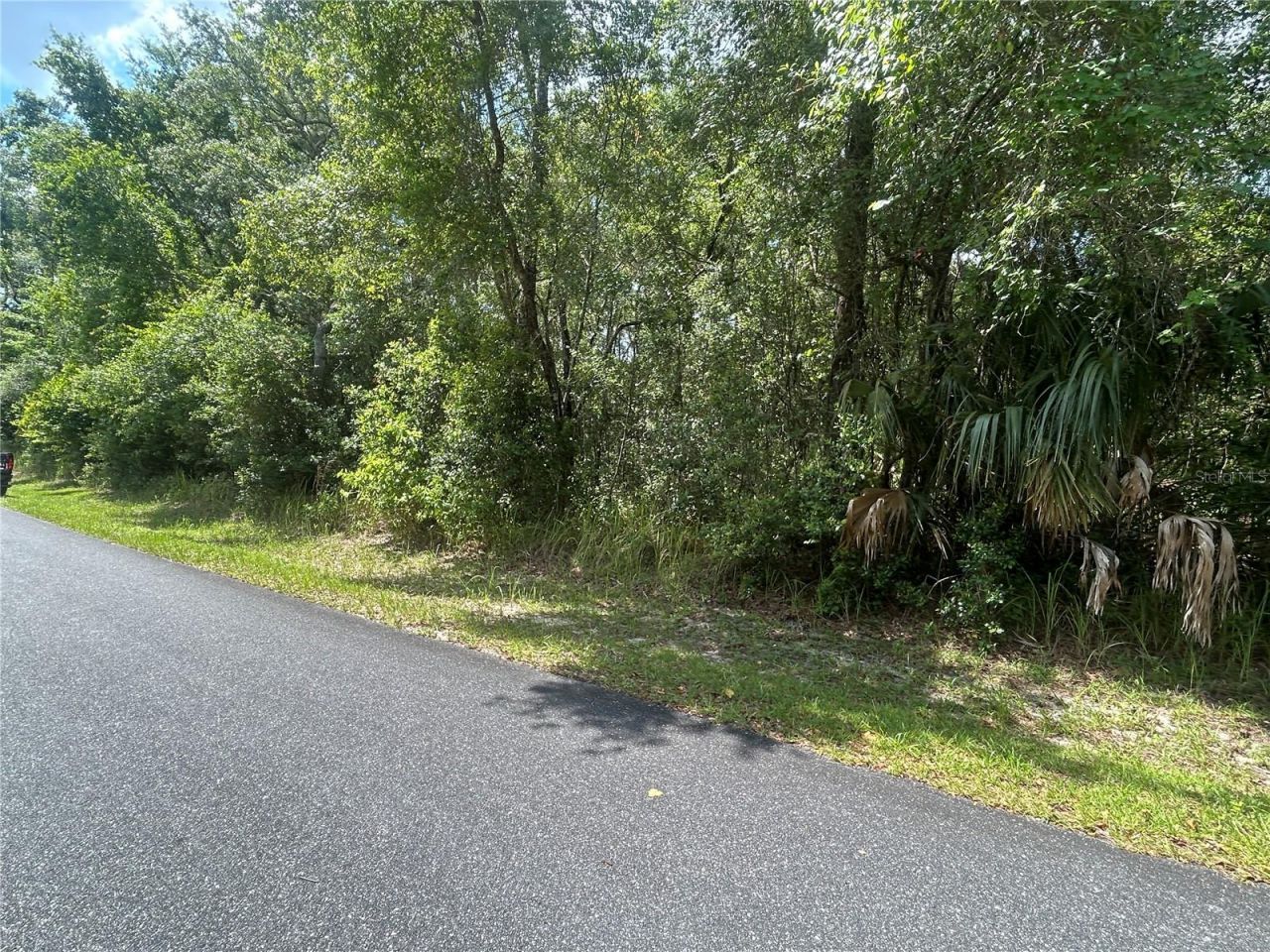 3118 E Deal Street , Inverness, FL 34453 Photo