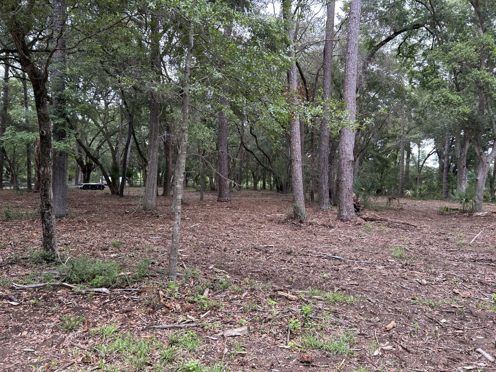 1470 Marsh Bluff Court Photo 6
