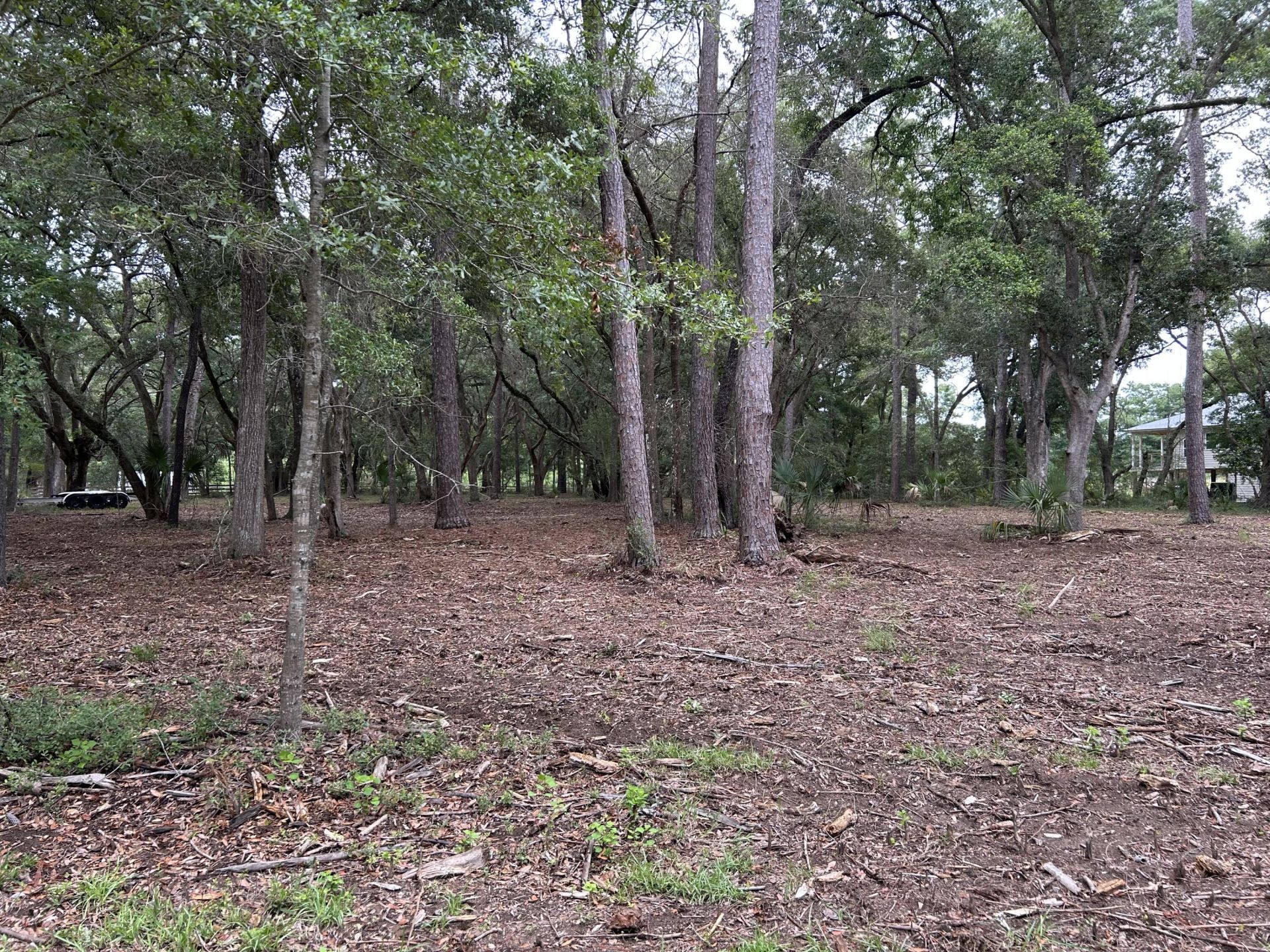 1470 Marsh Bluff Court Photo 7