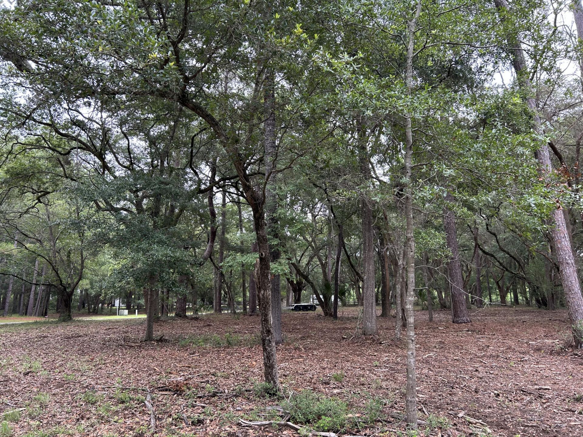 1470 Marsh Bluff Court Photo 9