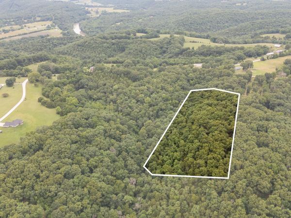 000 Misty Springs Rd Lot 16 , Galena, MO 65656
