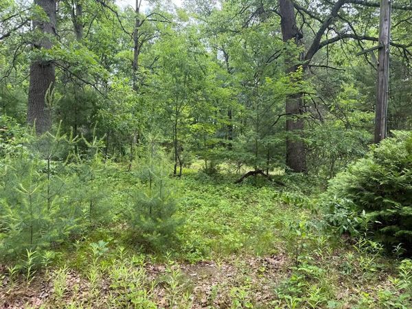 6250 Clover Road, Twin Lake, MI 49457
