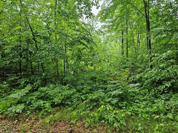 Lot 4 Hilly Ln, Spooner, WI 54801