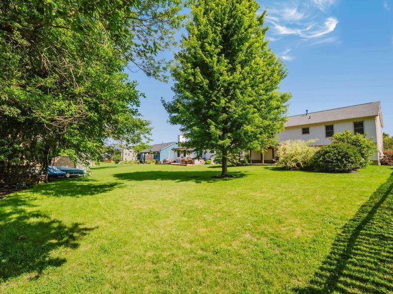 230 Buckboard Lane, Plain City, OH 43064 Photo 46
