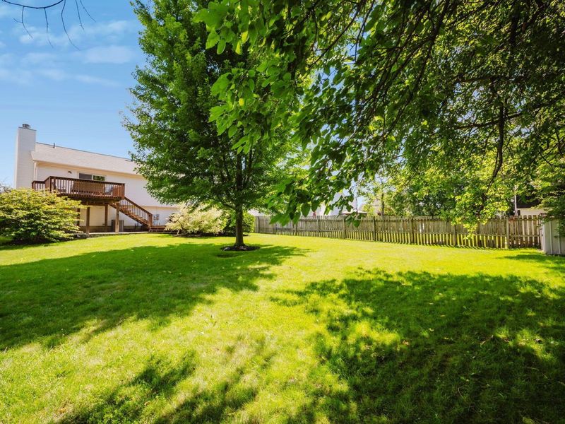 230 Buckboard Lane, Plain City, OH 43064 Photo 48
