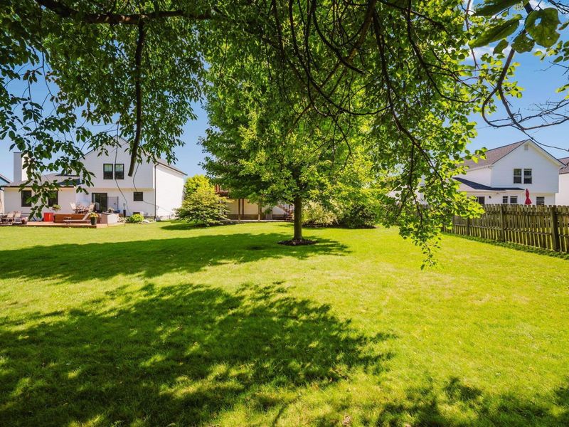 230 Buckboard Lane, Plain City, OH 43064 Photo 49