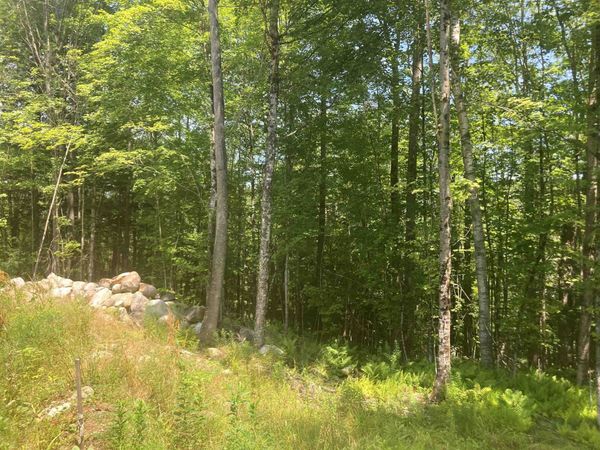New Aldrich Road, Grantham, NH 03753