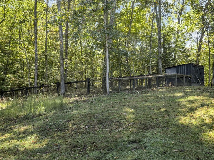 Property Image 53