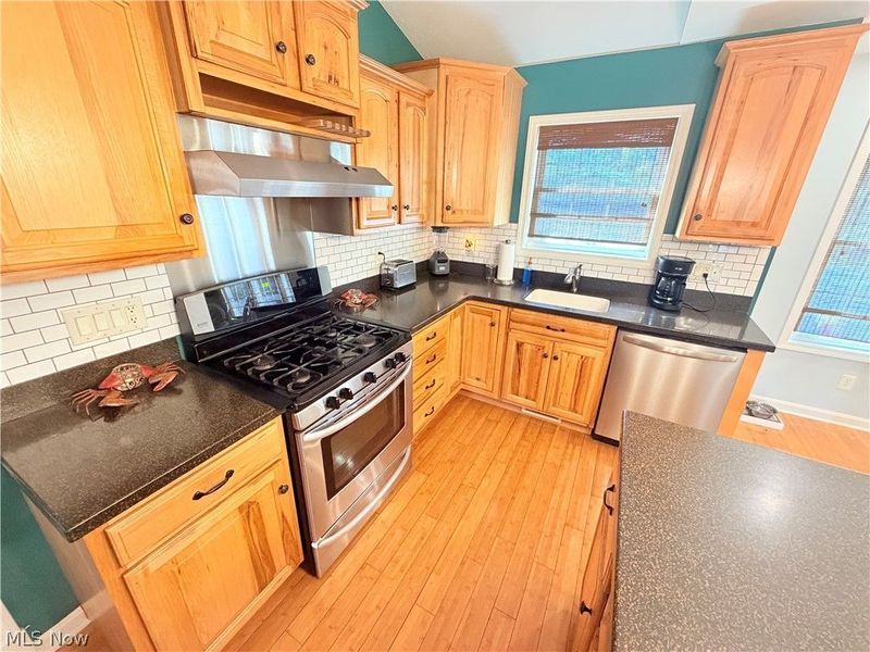 35975 Matoma Boulevard, Eastlake, OH 44095 Photo 17