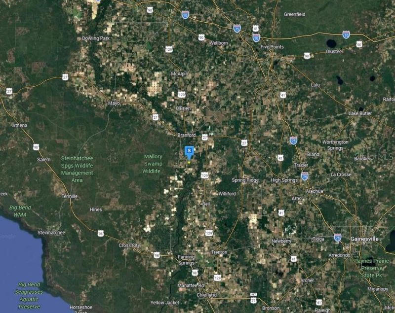301 SE Cheetah Lane, Branford, FL 32008 Photo