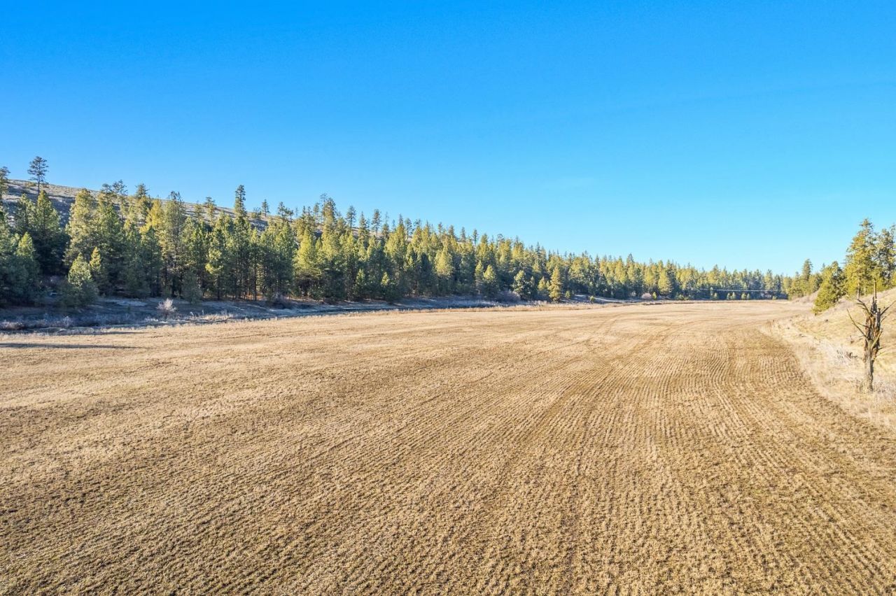 Nka Hays Rd, Fairfield, WA 99012 Main Photo