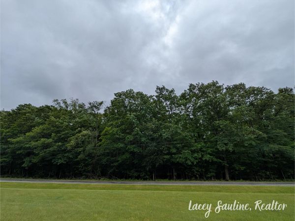 W Finkle Road, McBain, MI 49657