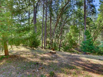 22005 Farrier Ct, Foresthill, CA 95631 Photo
