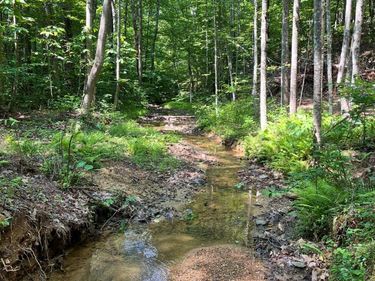 0 Christian Mill Creek Rd., Amherst, VA 24521