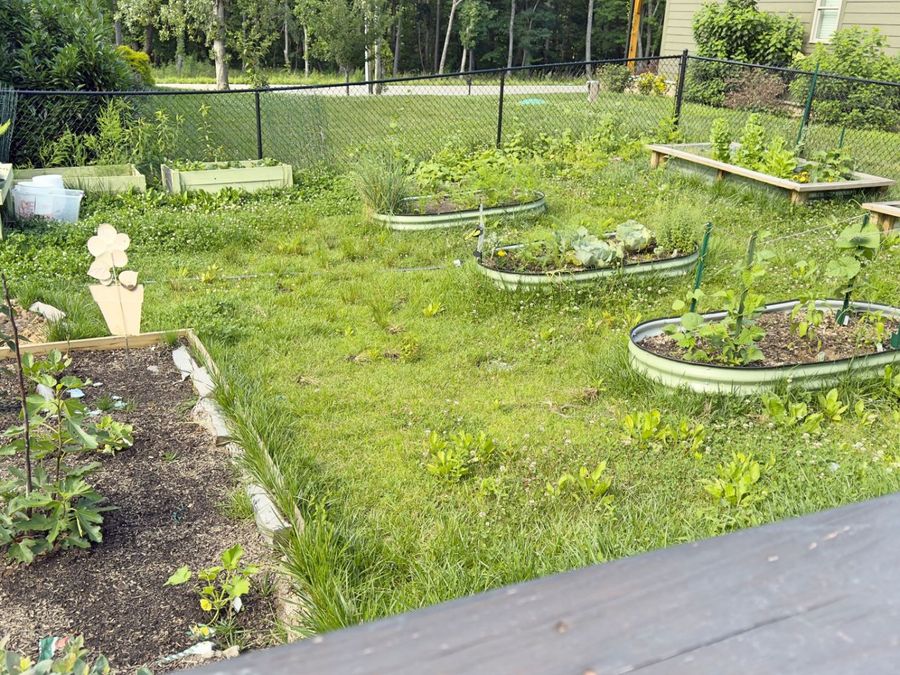 Property Image 54