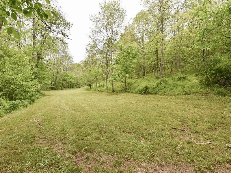 242 Belmont Road, Unit 1, Brooksville, KY 41004 Photo 24