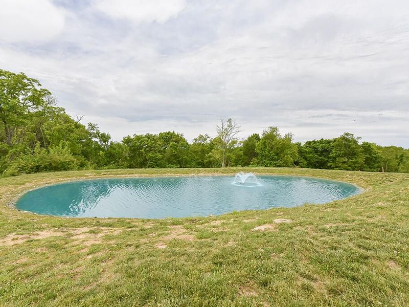242 Belmont Road, Unit 1, Brooksville, KY 41004 Photo 25