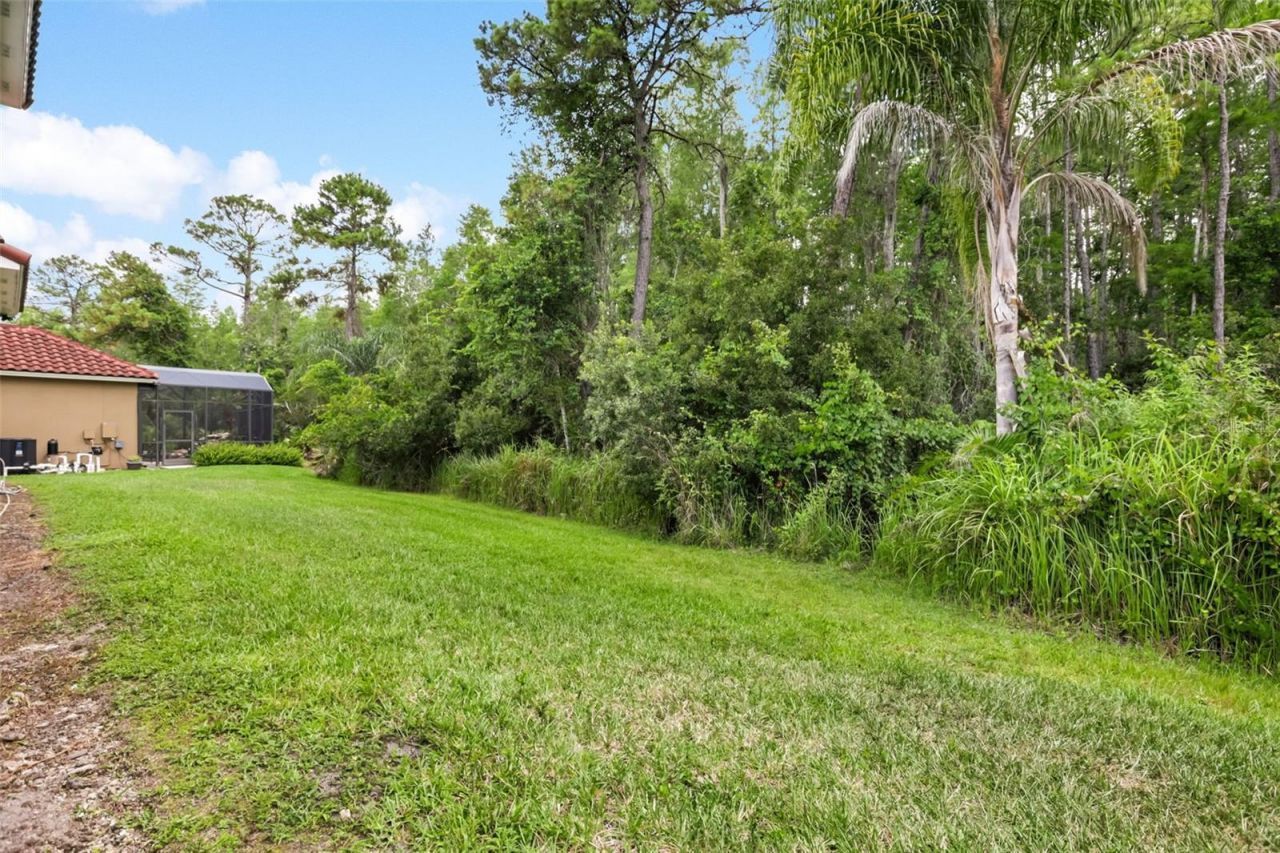 2724 Northampton Avenue, Orlando, FL 32828 Photo
