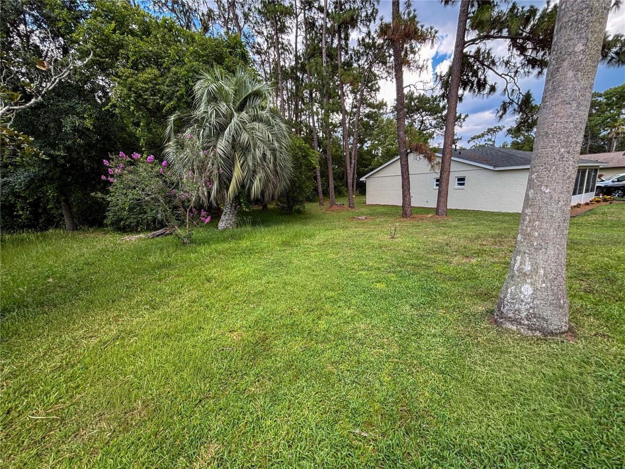 4808 Ganimede Lane , Orlando, FL 32821 Photo
