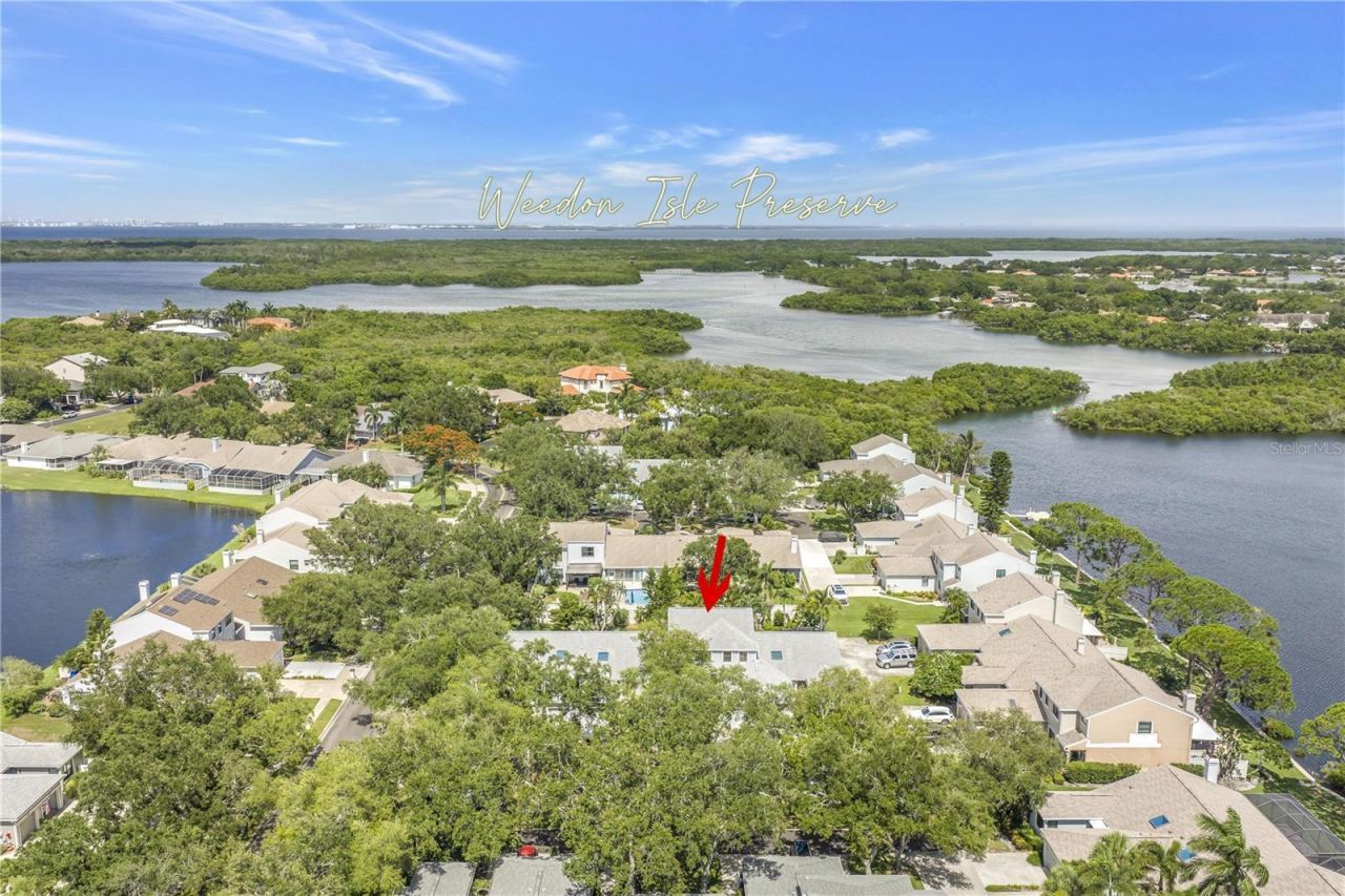 990 San Carlos Court Ne, Saint Petersburg, FL 33702 Photo
