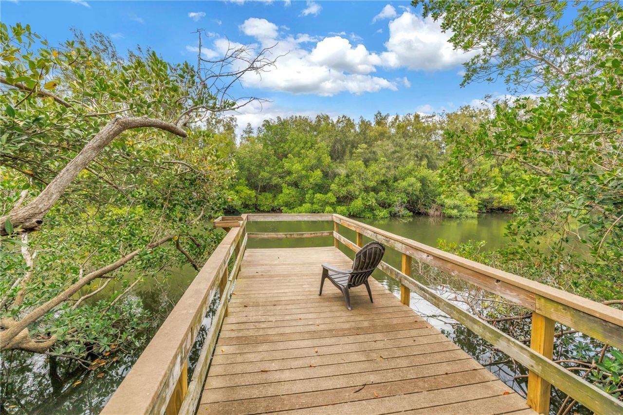 990 San Carlos Court Ne, Saint Petersburg, FL 33702 Photo