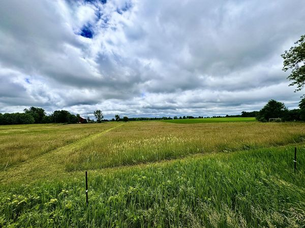 V/L W Lake Montcalm Road, Unit Parcel D, Howard City, MI 49329