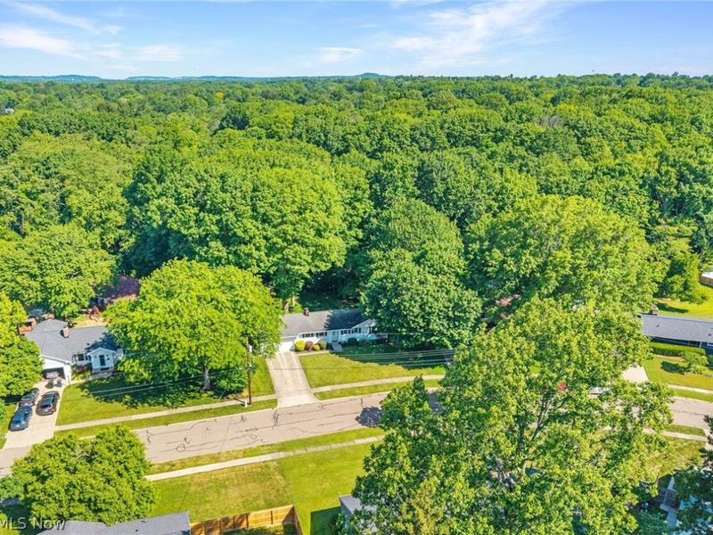 2315 Burnham Road, Fairlawn, OH 44333 Photo 35