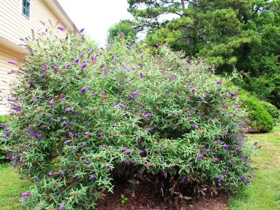 Property Image 53