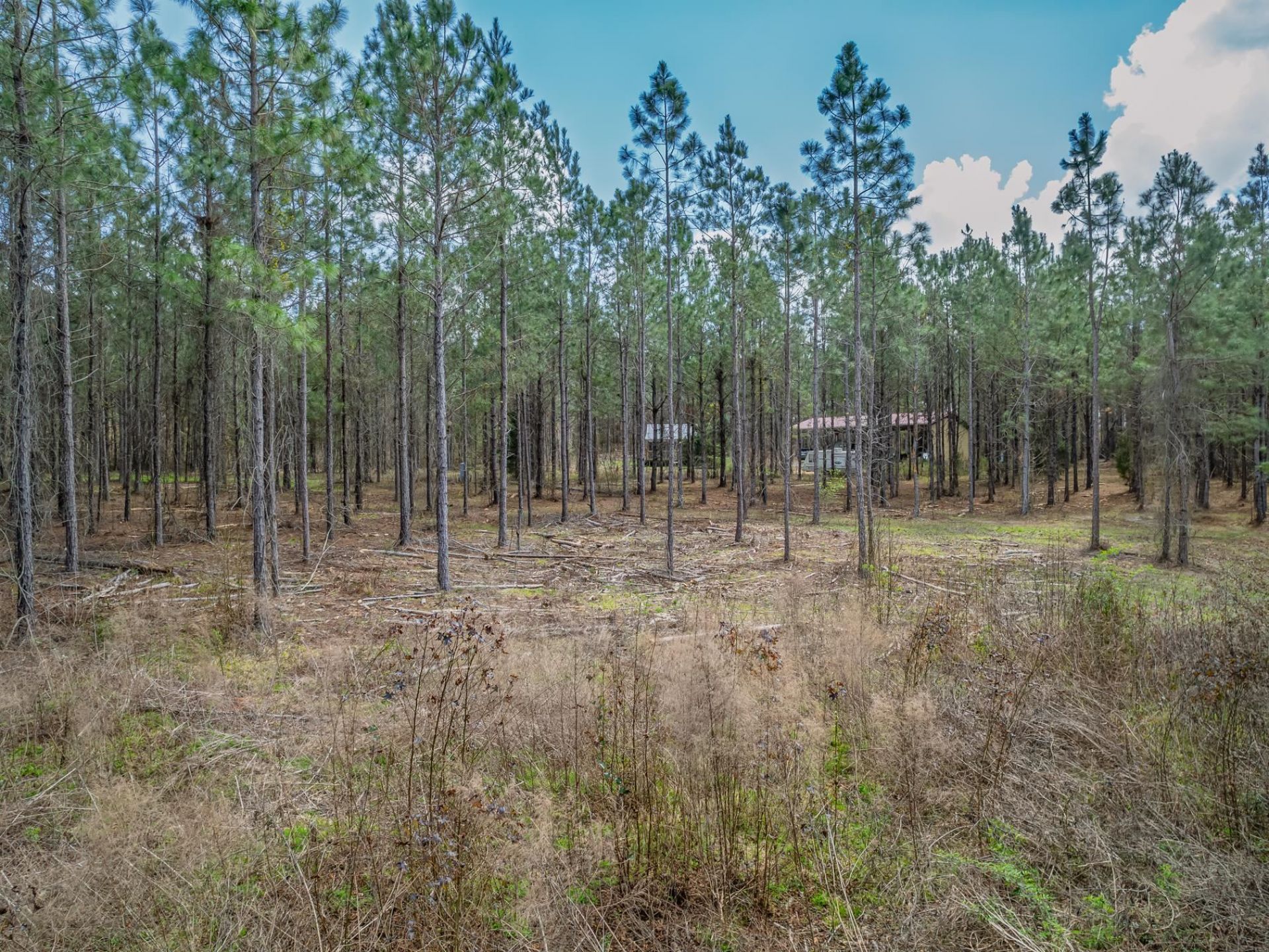9152 Hidden Creek Lane, Tallahassee, FL 32311 Photo
