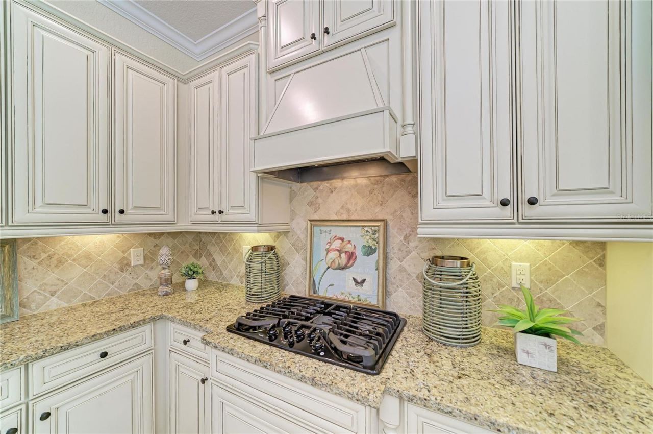 13623 Swiftwater Way, Bradenton, FL 34211 Photo