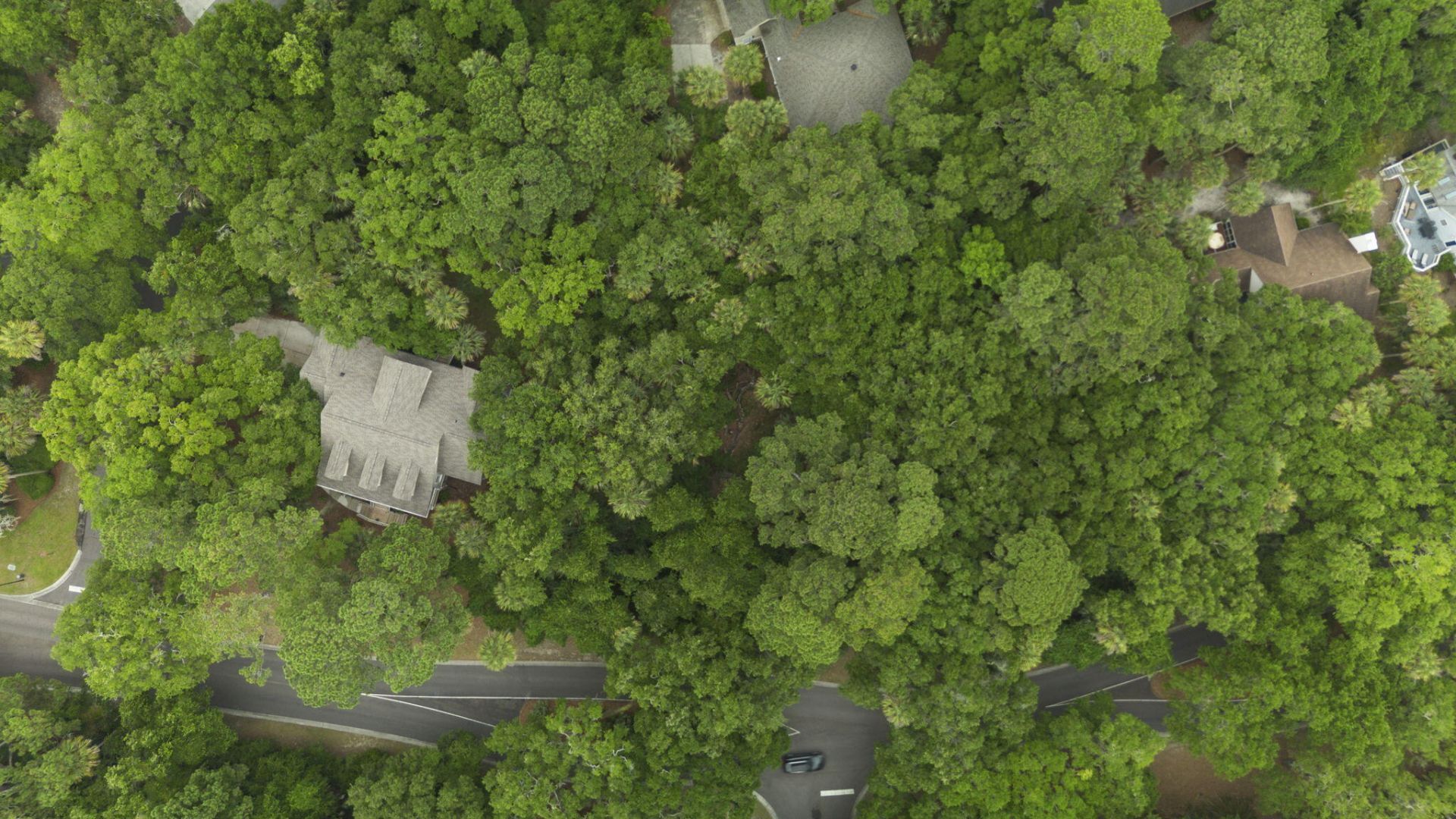 2705 Seabrook Island Road Photo 10