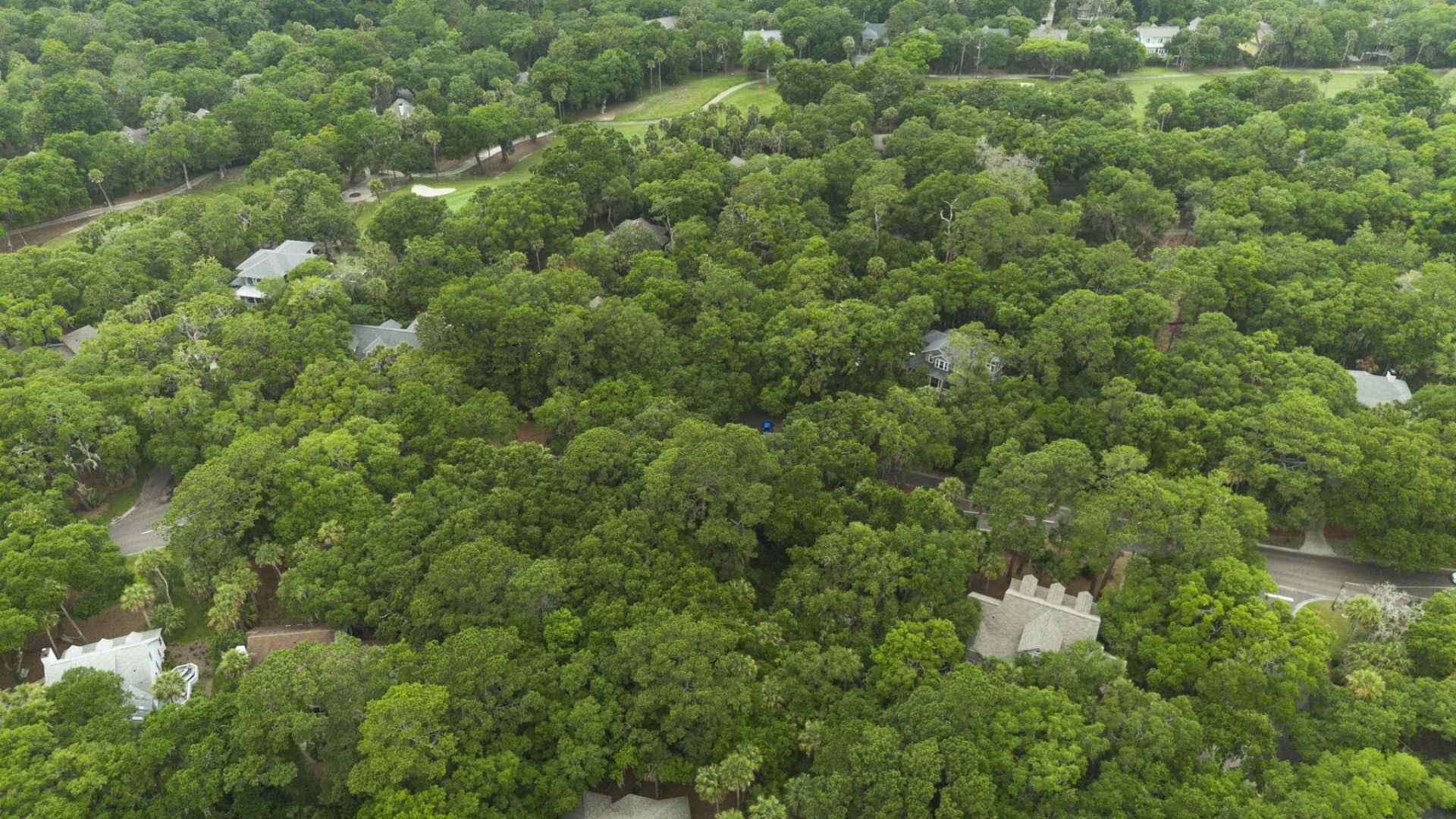 2705 Seabrook Island Road Photo 11