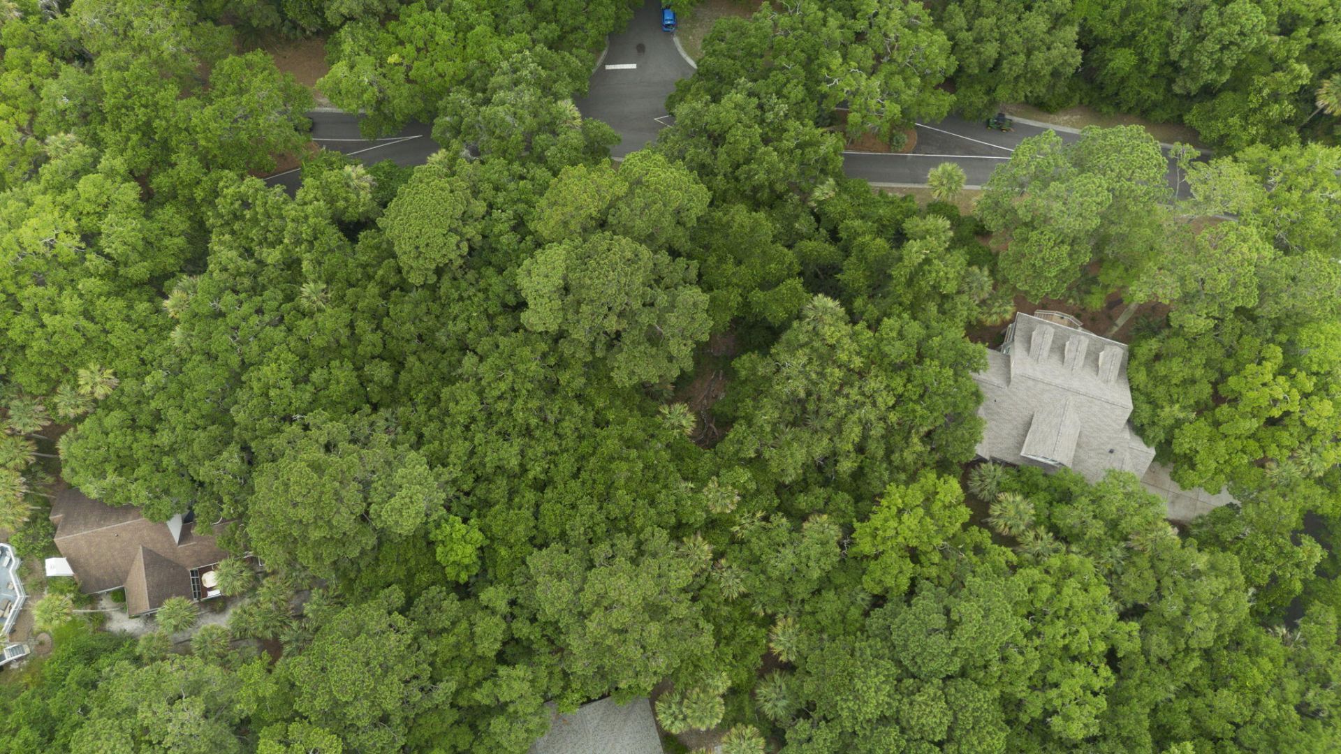 2705 Seabrook Island Road Photo 12