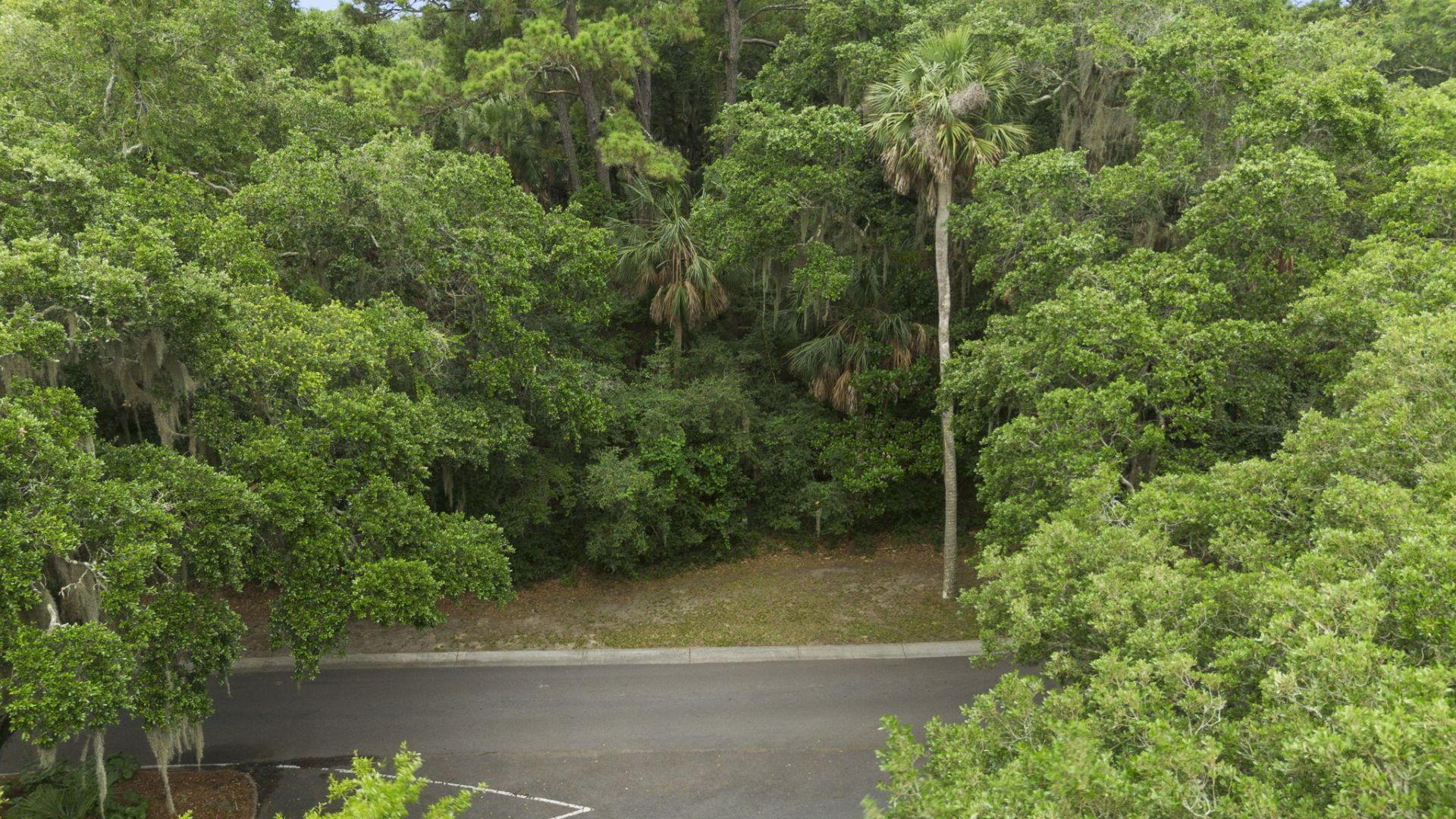 2705 Seabrook Island Road Photo 13