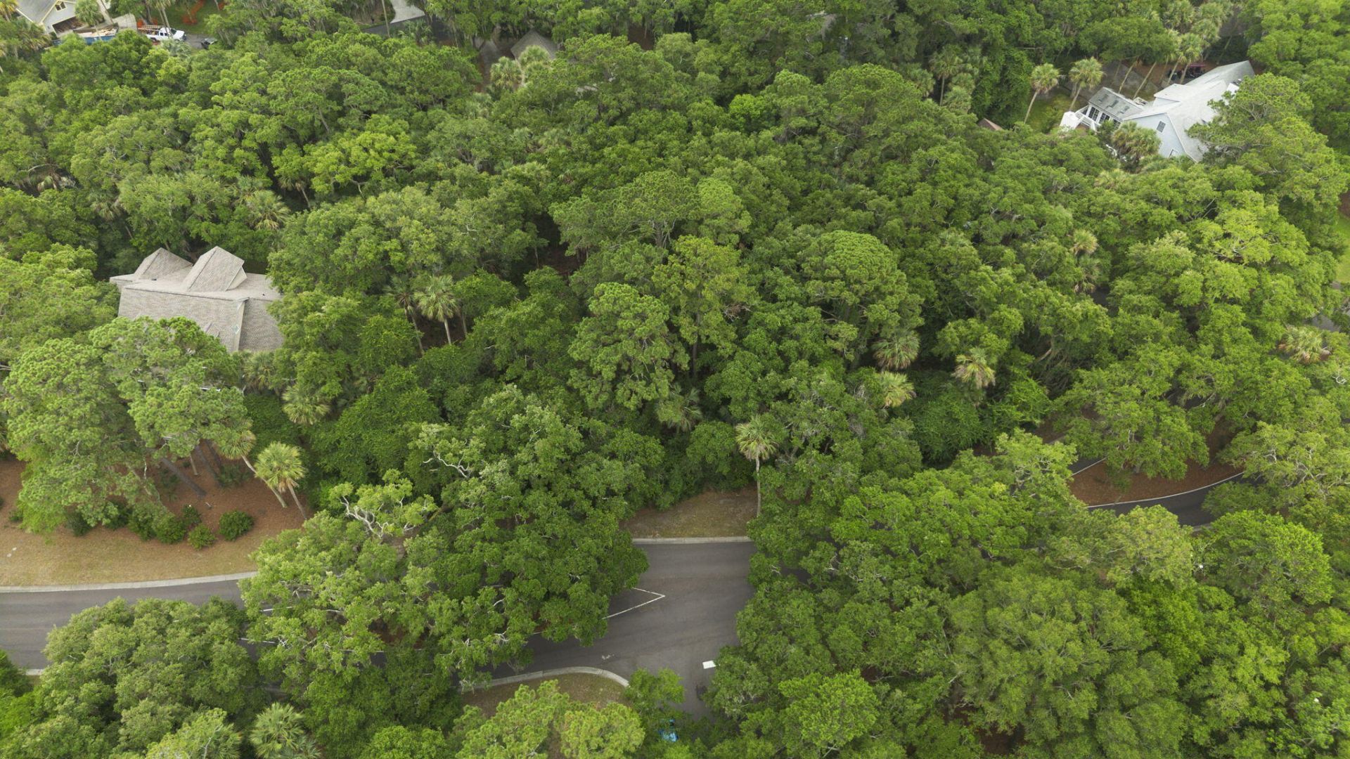 2705 Seabrook Island Road Photo 14