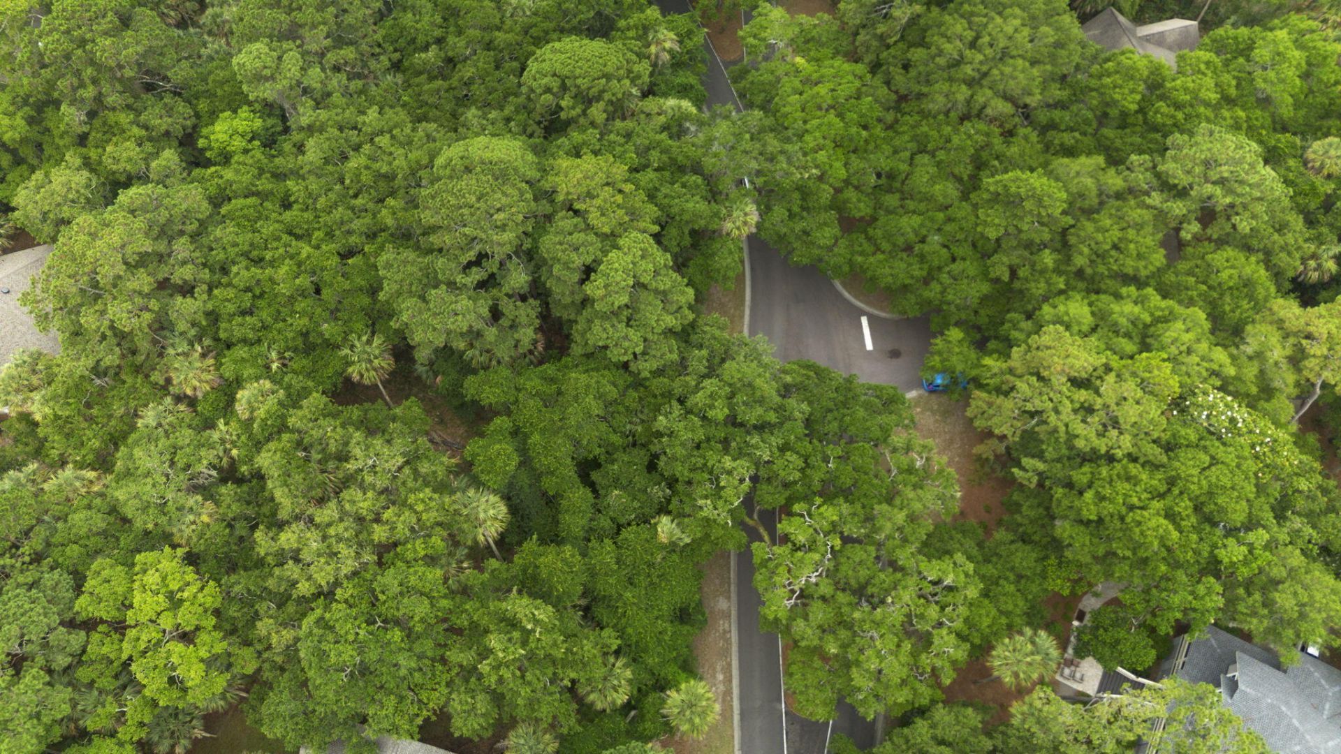 2705 Seabrook Island Road Photo 15