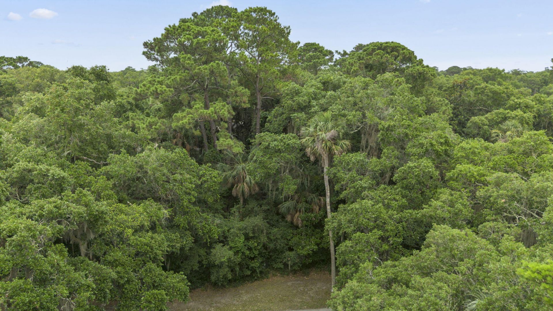 2705 Seabrook Island Road Photo 16