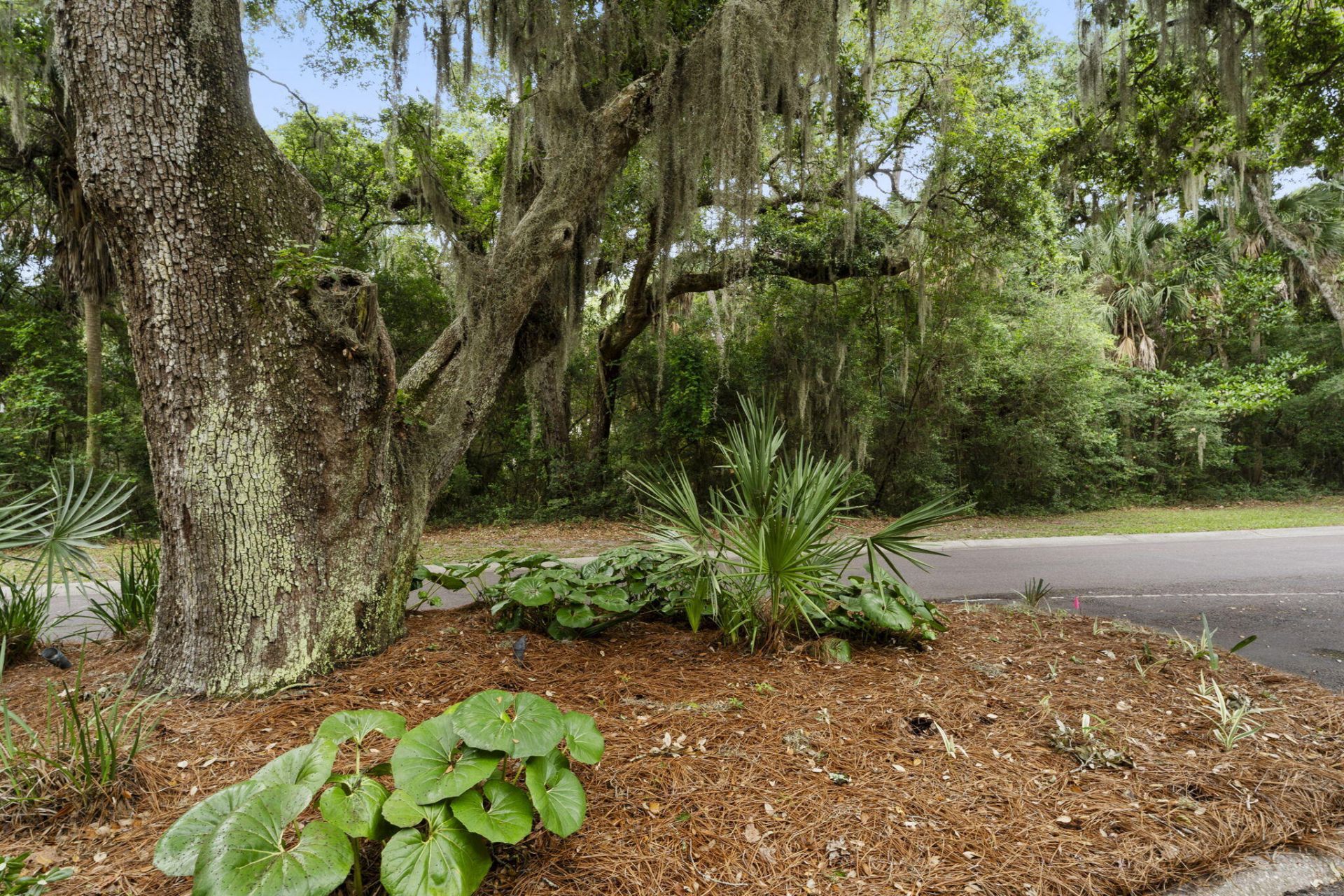 2705 Seabrook Island Road Photo 7