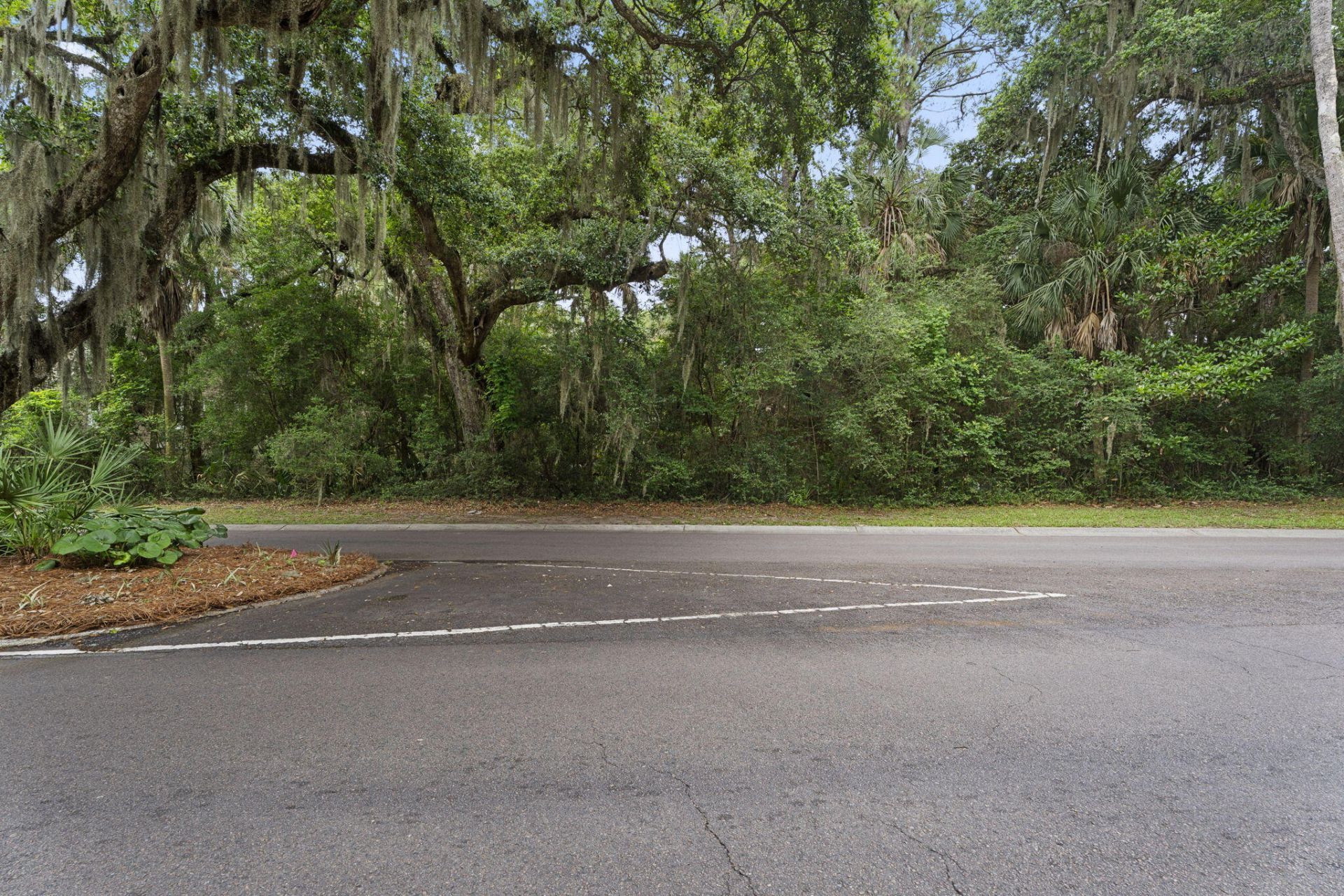 2705 Seabrook Island Road Photo 8