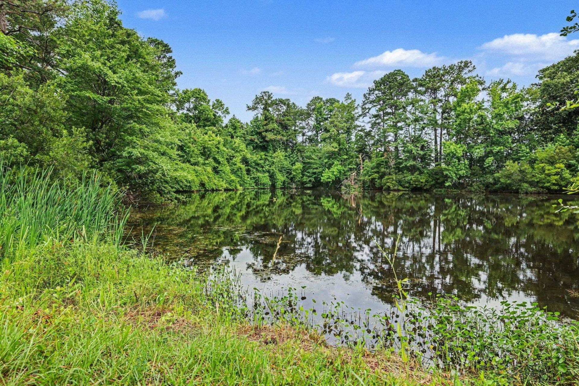 Tbd Mitchell Sea Rd. Photo 10